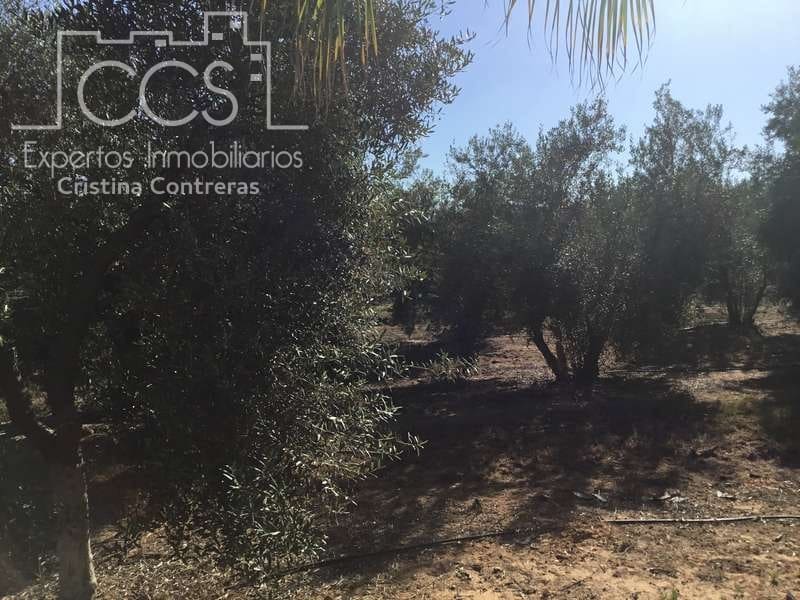 Finca/Casa Rural de 4 habitaciones en Pilas en venta con piscina - 400.000 € (Ref: 4617063)