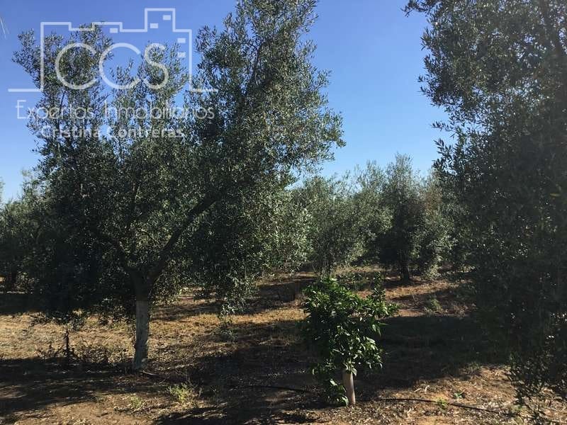 Finca/Casa Rural de 4 habitaciones en Pilas en venta con piscina - 400.000 € (Ref: 4617063)