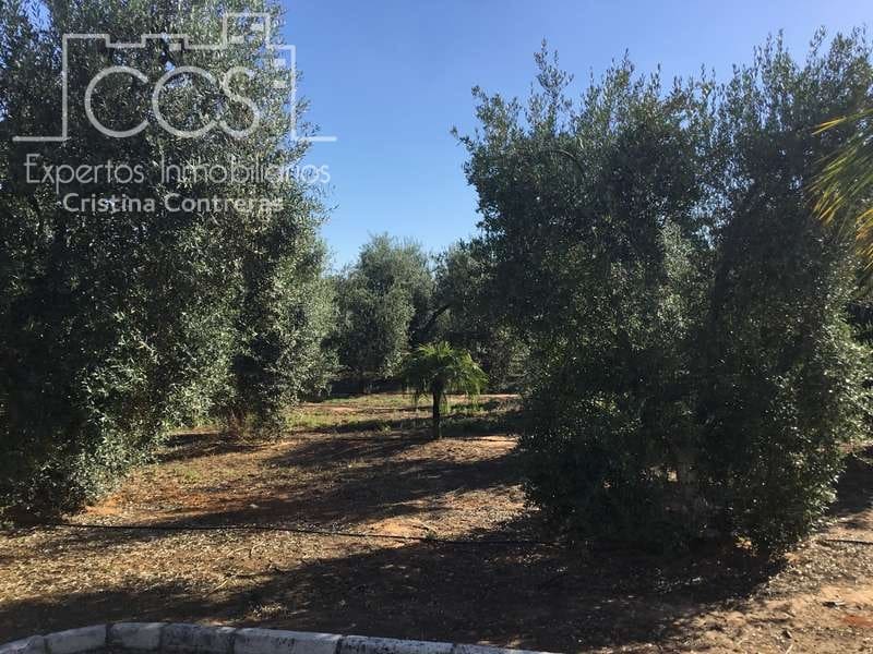 Finca/Casa Rural de 4 habitaciones en Pilas en venta con piscina - 400.000 € (Ref: 4617063)
