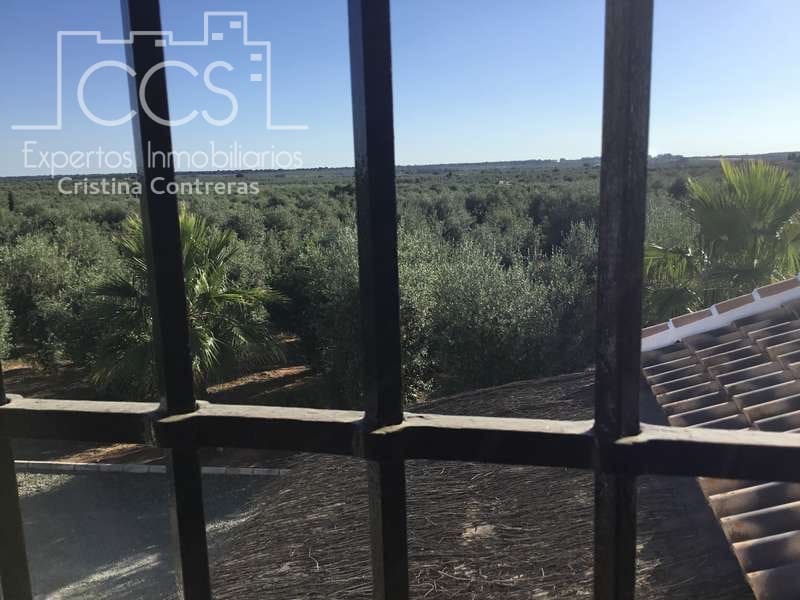 Finca/Casa Rural de 4 habitaciones en Pilas en venta con piscina - 400.000 € (Ref: 4617063)