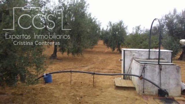 Building Plot for sale in Almonte - € 33,000 (Ref: 4700665)