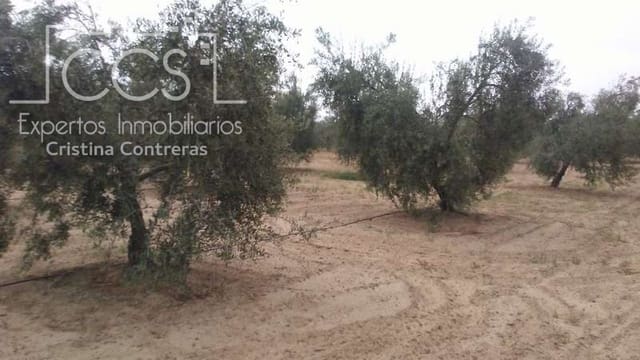 Building Plot for sale in Almonte - € 33,000 (Ref: 4700665)