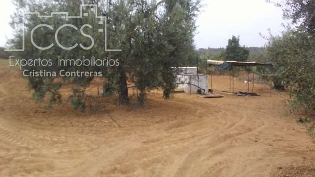 Building Plot for sale in Almonte - € 33,000 (Ref: 4700665)