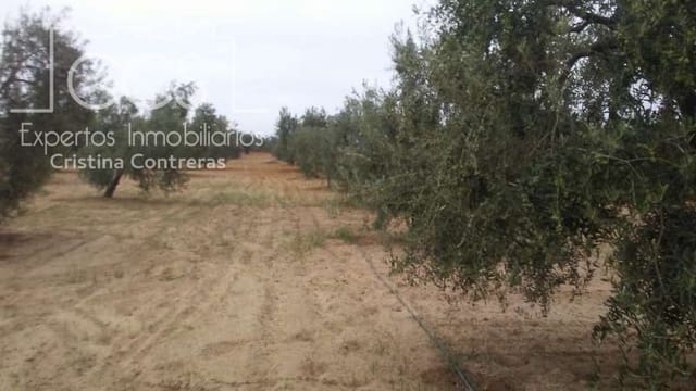 Building Plot for sale in Almonte - € 33,000 (Ref: 4700665)