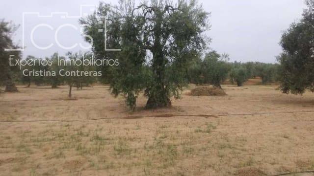 Building Plot for sale in Almonte - € 33,000 (Ref: 4700665)