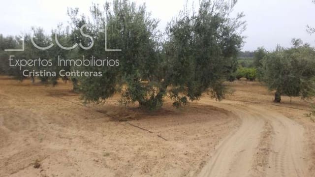 Building Plot for sale in Almonte - € 33,000 (Ref: 4700665)