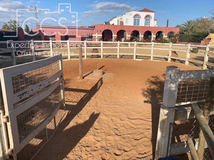 7 soveværelse Finca/Landehus til salg i Alcala de Guadaira med swimmingpool - € 750.000 (Ref: 5036889)