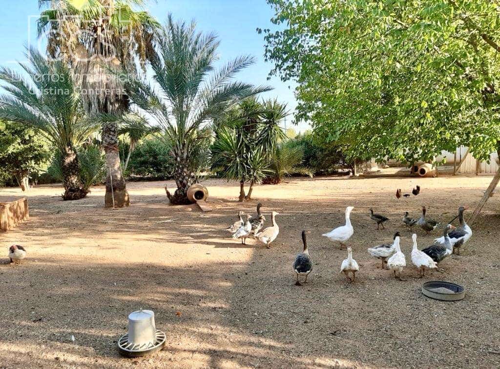 7 soveværelse Finca/Landehus til salg i Alcala de Guadaira med swimmingpool - € 750.000 (Ref: 5036889)