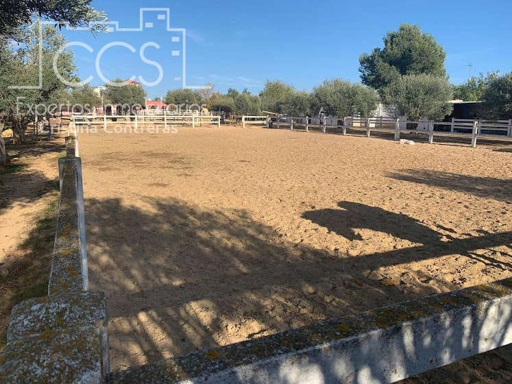 7 bedroom Finca/Country House for sale in Alcala de Guadaira with pool - € 750,000 (Ref: 5036889)