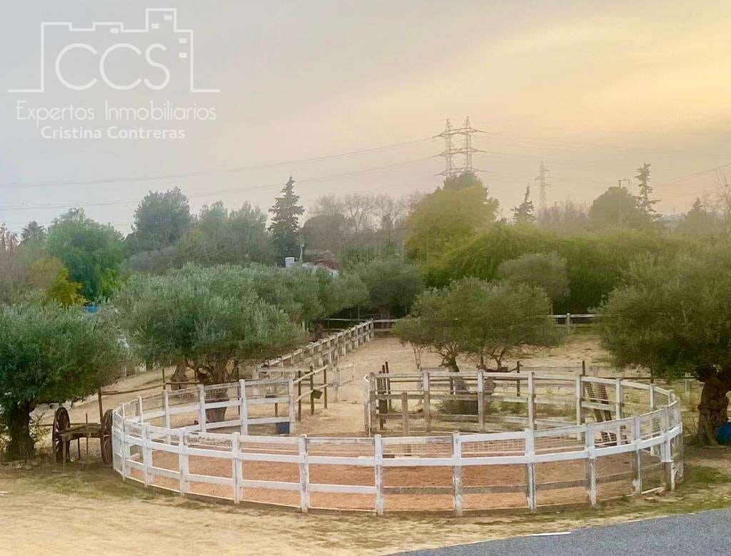 7 bedroom Finca/Country House for sale in Alcala de Guadaira with pool - € 750,000 (Ref: 5036889)