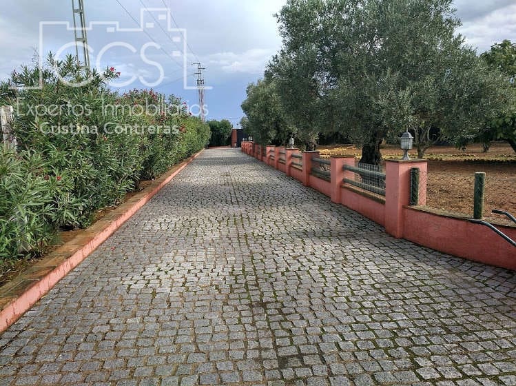 7 bedroom Finca/Country House for sale in Alcala de Guadaira with pool - € 750,000 (Ref: 5036889)