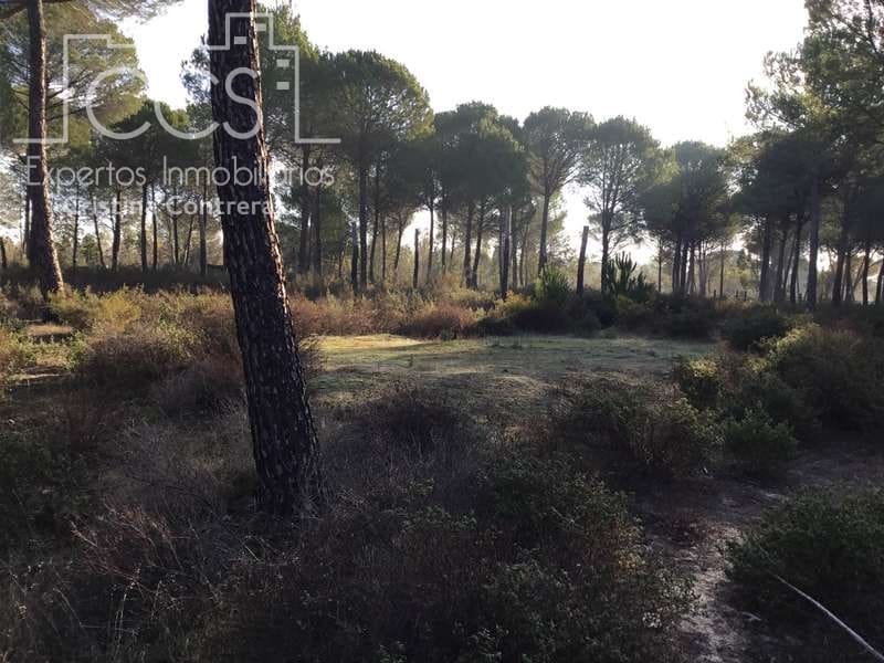 Byggegrund til salg i Almonte - € 72.000 (Ref: 5043844)