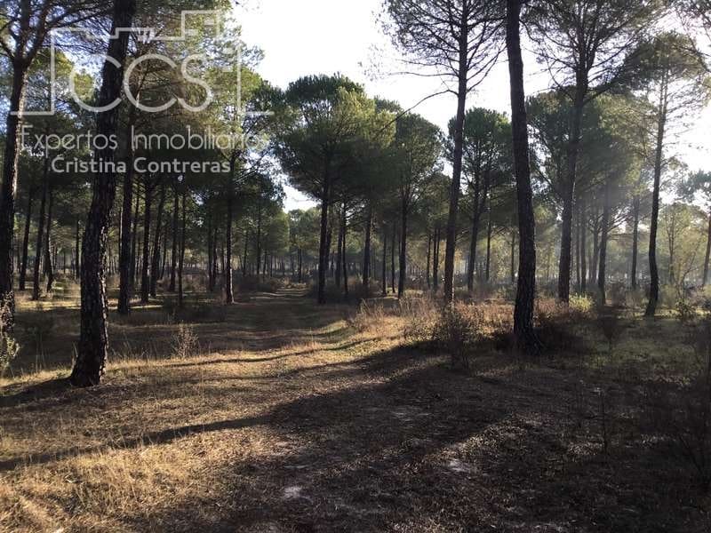 Byggegrund til salg i Almonte - € 72.000 (Ref: 5043844)