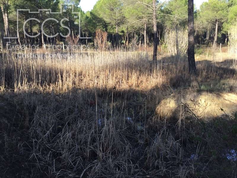 Byggegrund til salg i Almonte - € 72.000 (Ref: 5043844)