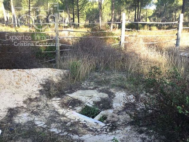 Building Plot for sale in Almonte - € 72,000 (Ref: 5043844)