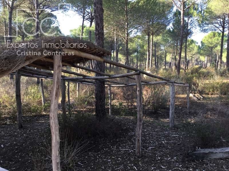 Byggegrund til salg i Almonte - € 72.000 (Ref: 5043844)