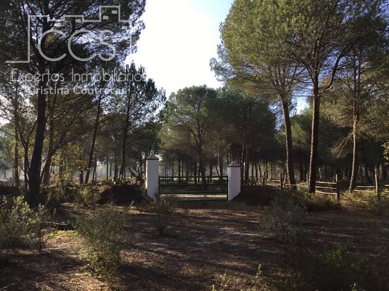 Byggegrund til salg i Almonte - € 72.000 (Ref: 5043844)