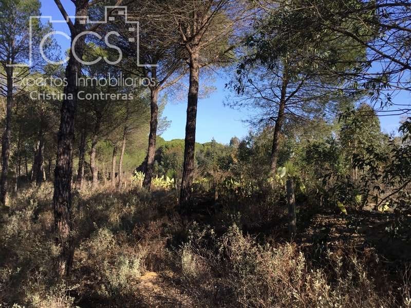 Byggegrund til salg i Almonte - € 72.000 (Ref: 5043844)