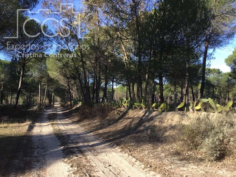 Byggegrund til salg i Almonte - € 72.000 (Ref: 5043844)