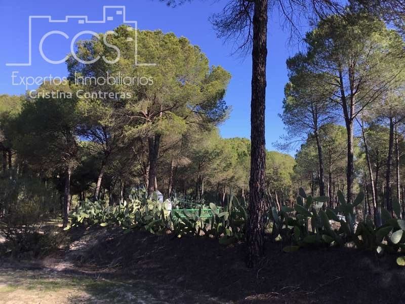 Byggegrund til salg i Almonte - € 72.000 (Ref: 5043844)