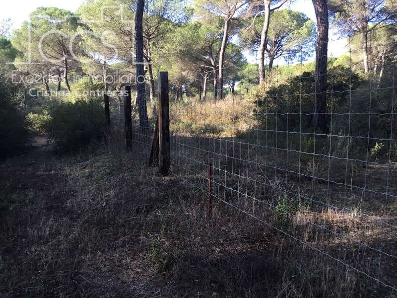 Byggegrund til salg i Almonte - € 72.000 (Ref: 5043844)