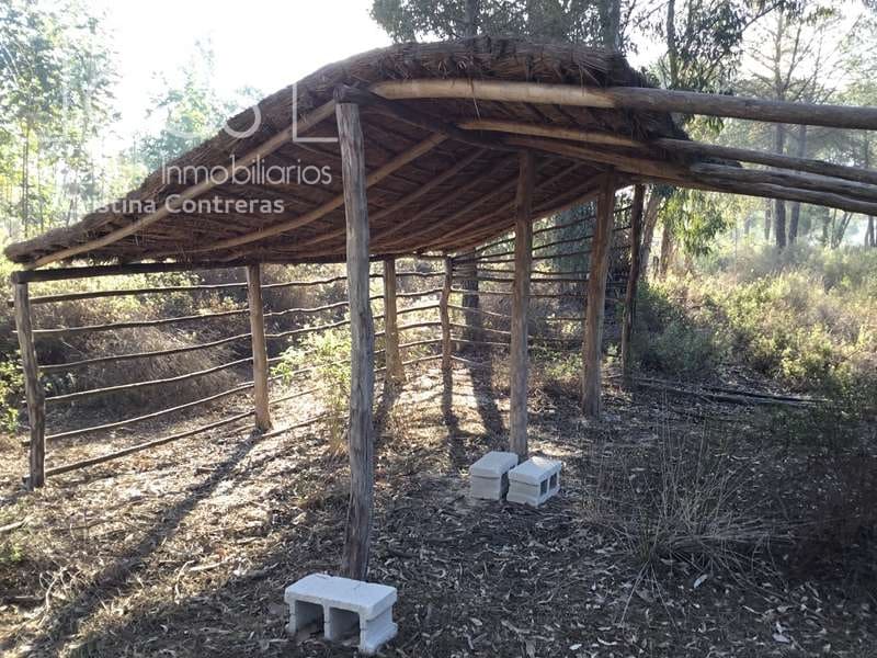 Byggegrund til salg i Almonte - € 72.000 (Ref: 5043844)