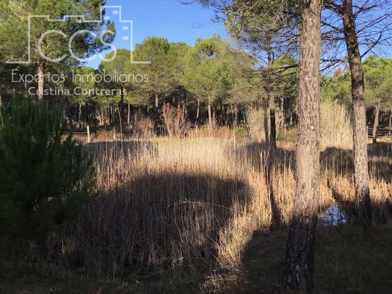 Byggegrund til salg i Almonte - € 72.000 (Ref: 5043844)