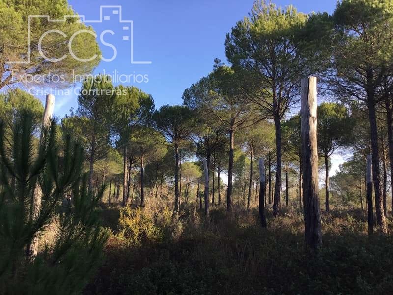 Byggegrund til salg i Almonte - € 72.000 (Ref: 5043844)