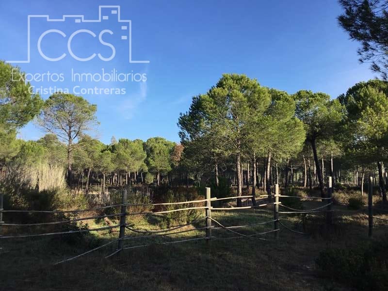 Byggegrund til salg i Almonte - € 72.000 (Ref: 5043844)