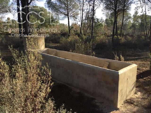 Building Plot for sale in Almonte - € 72,000 (Ref: 5043844)