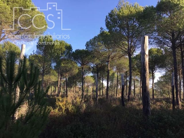 Building Plot for sale in Almonte - € 72,000 (Ref: 5043844)