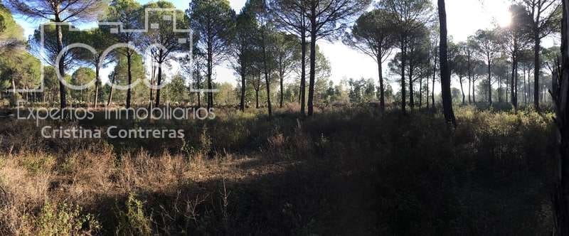 Byggegrund til salg i Almonte - € 72.000 (Ref: 5043844)