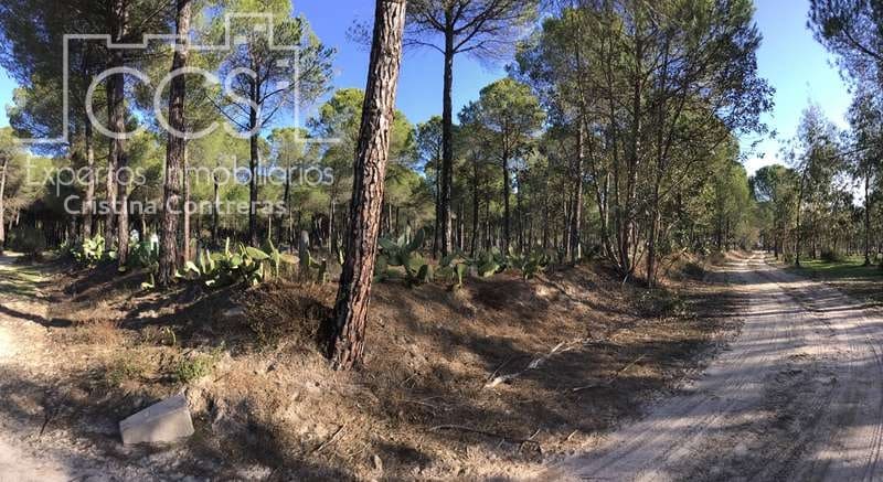 Byggegrund til salg i Almonte - € 72.000 (Ref: 5043844)