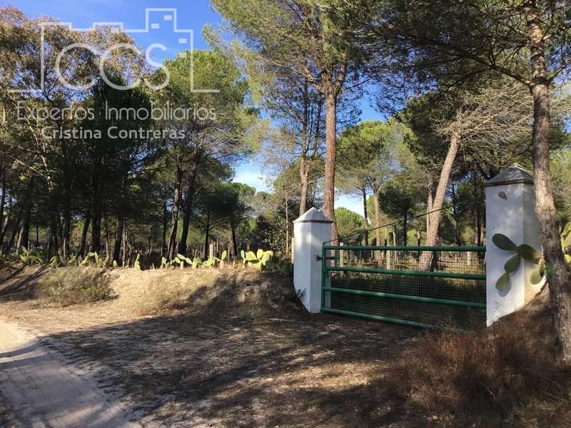 Byggegrund til salg i Almonte - € 72.000 (Ref: 5043844)