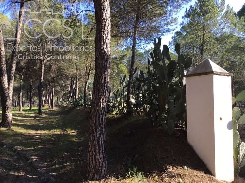 Byggegrund til salg i Almonte - € 72.000 (Ref: 5043844)