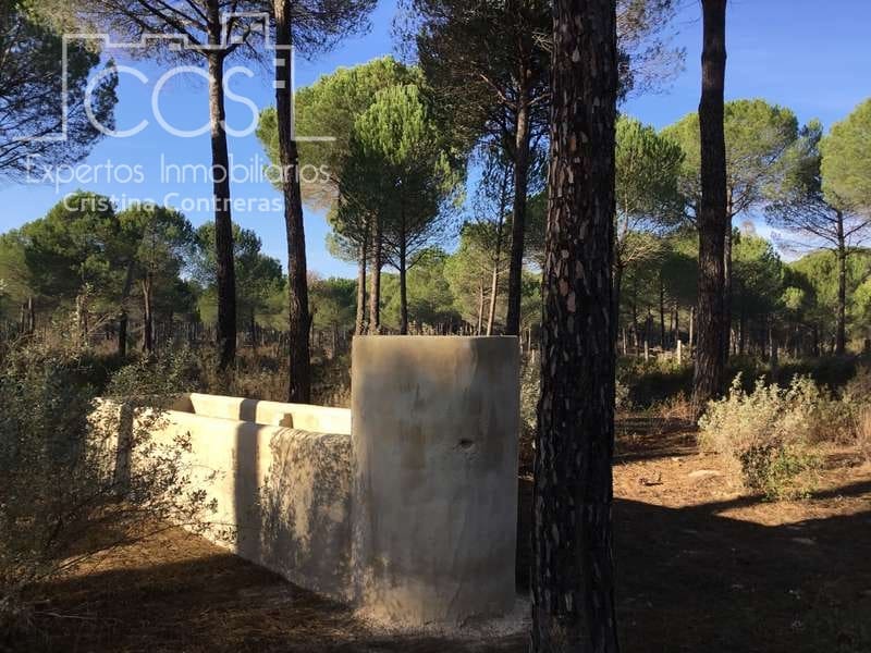 Bouwgrond te koop in Almonte - € 72.000 (Ref: 5043844)