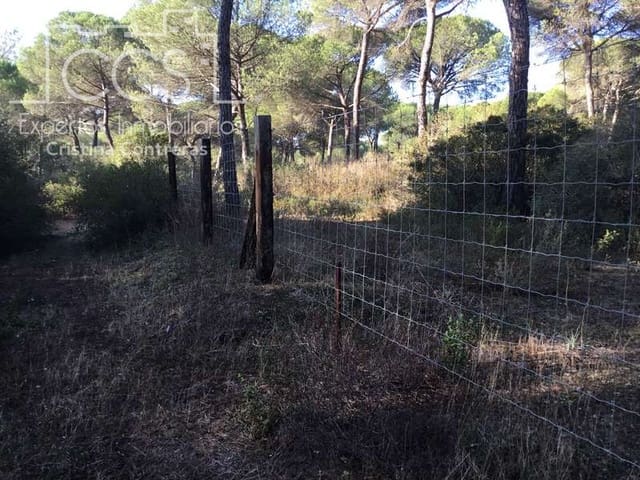 Area Edificabile in vendita in Almonte - 72.000 € (Rif: 5043844)
