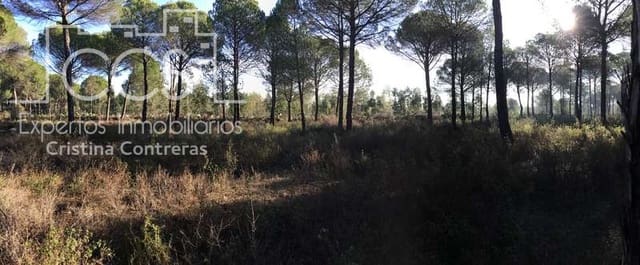 Area Edificabile in vendita in Almonte - 72.000 € (Rif: 5043844)