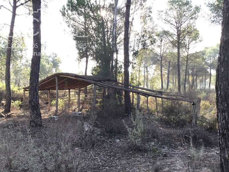 Bouwgrond te koop in Almonte - € 72.000 (Ref: 5043844)