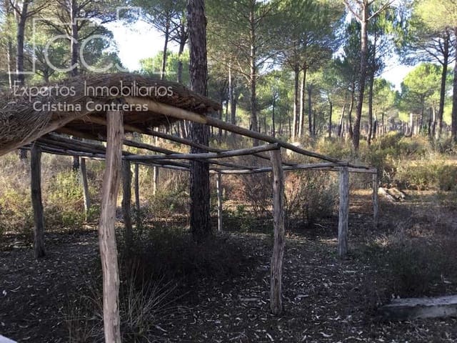 Area Edificabile in vendita in Almonte - 72.000 € (Rif: 5043844)