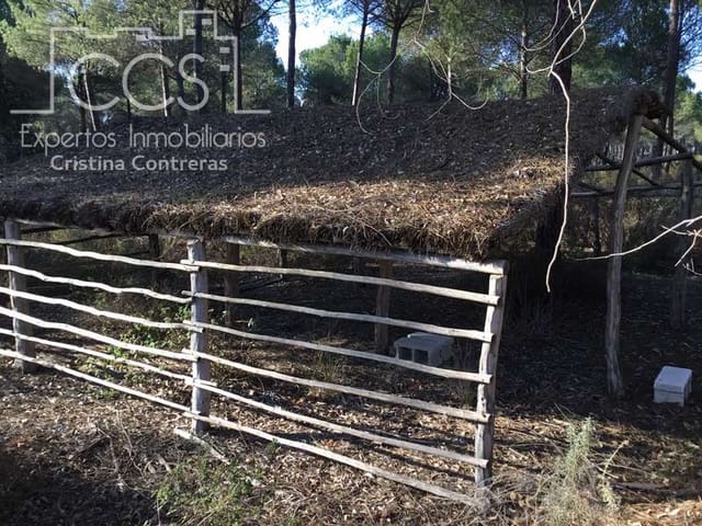 Area Edificabile in vendita in Almonte - 72.000 € (Rif: 5043844)
