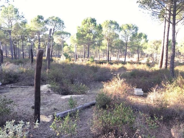 Area Edificabile in vendita in Almonte - 72.000 € (Rif: 5043844)