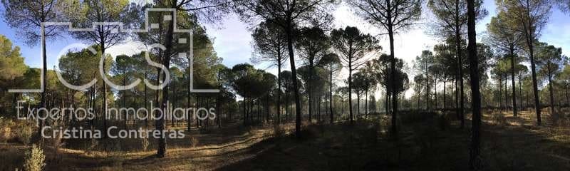Bouwgrond te koop in Almonte - € 72.000 (Ref: 5043844)