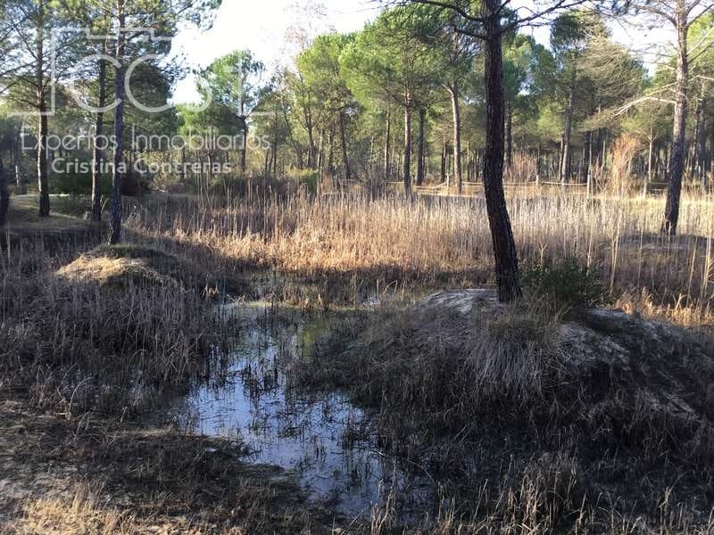 Bouwgrond te koop in Almonte - € 72.000 (Ref: 5043844)