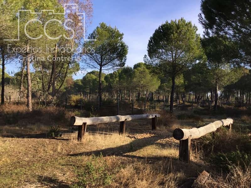 Bouwgrond te koop in Almonte - € 72.000 (Ref: 5043844)
