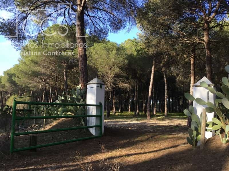 Bouwgrond te koop in Almonte - € 72.000 (Ref: 5043844)