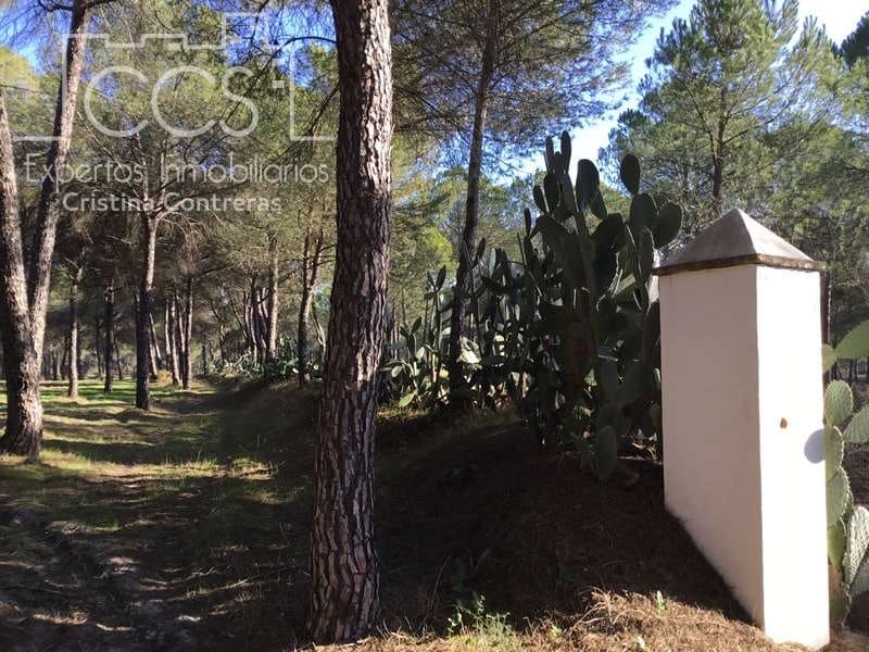 Bouwgrond te koop in Almonte - € 72.000 (Ref: 5043844)