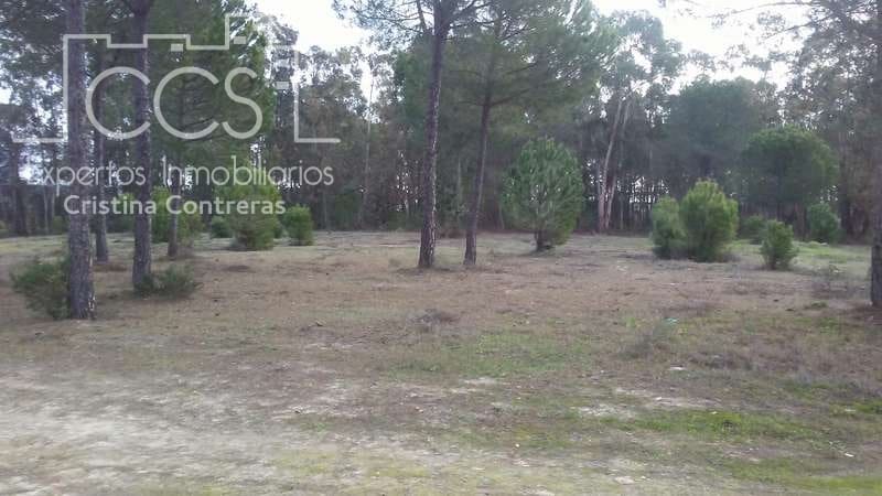 Byggegrund til salg i Almonte - € 83.000 (Ref: 5056421)