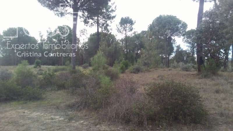 Byggegrund til salg i Almonte - € 83.000 (Ref: 5056421)