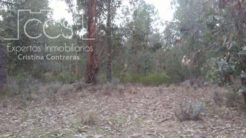 Byggegrund til salg i Almonte - € 83.000 (Ref: 5056421)